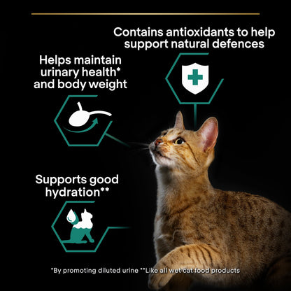 Pro Plan Sterilised Maintenance Duck in Gravy Wet Cat Food - 10 x 85g