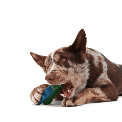 BARK Crocness Monster Dog Toy