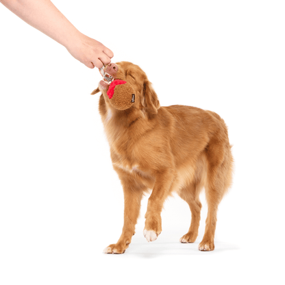 BARK A Squeaky Meat-A-Ball Dog Toy