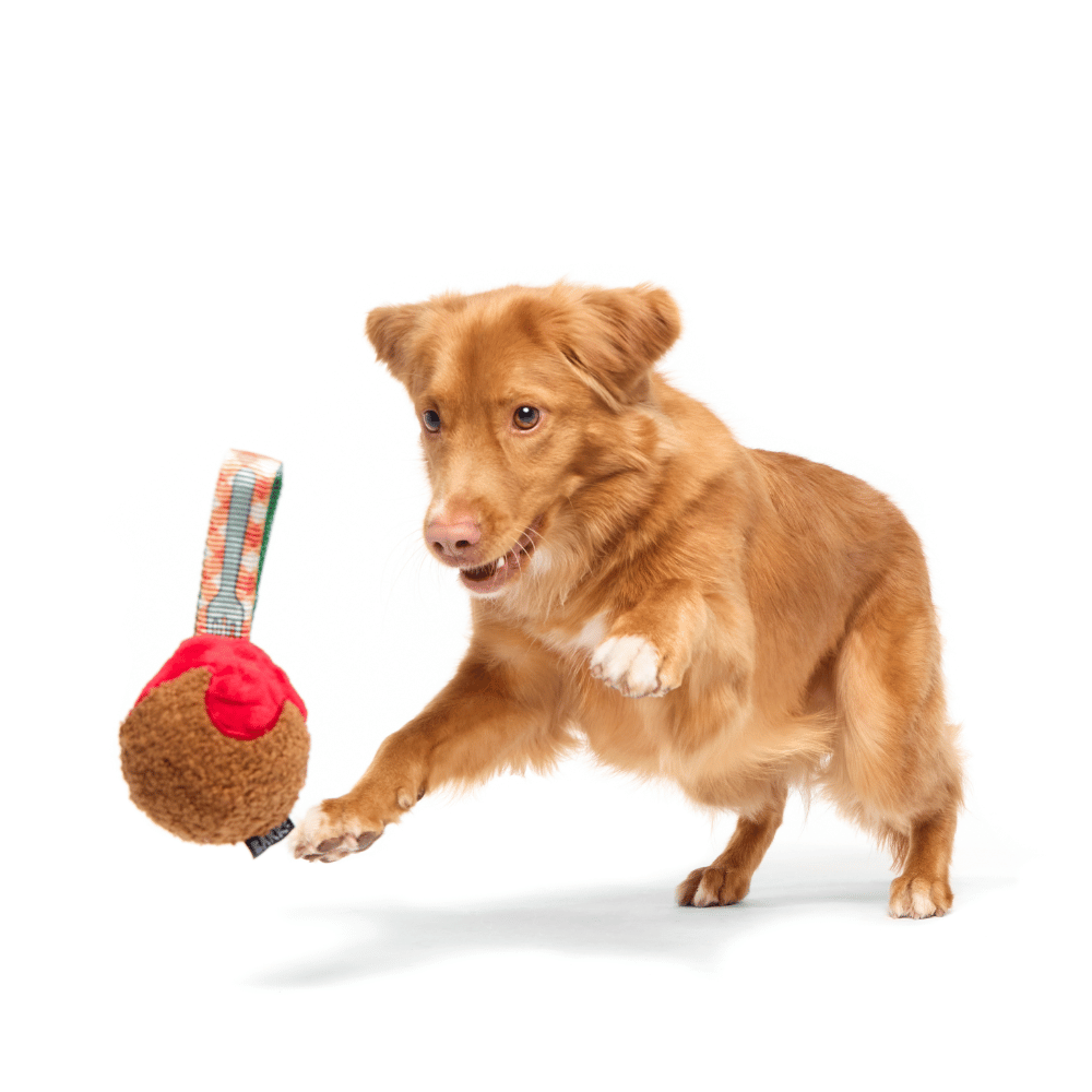 BARK A Squeaky Meat-A-Ball Dog Toy