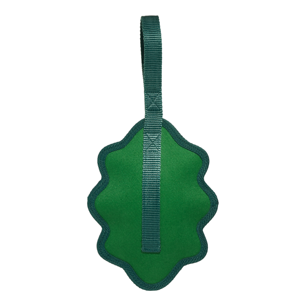 Front View of BARK A Green Chew Leaf Dog Toy