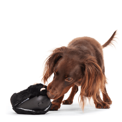 BARK Black Bear Bones Dog Toy