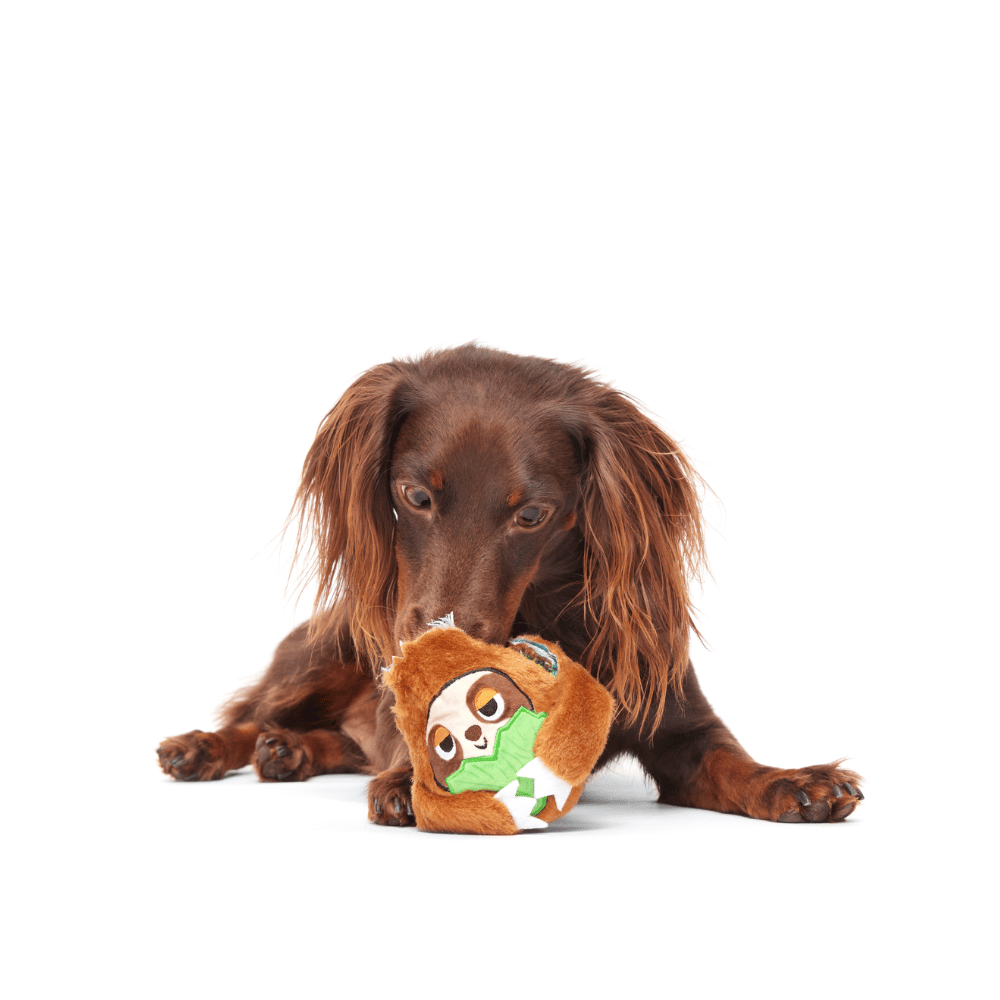 BARK Sonny The Sloth Dog Toy