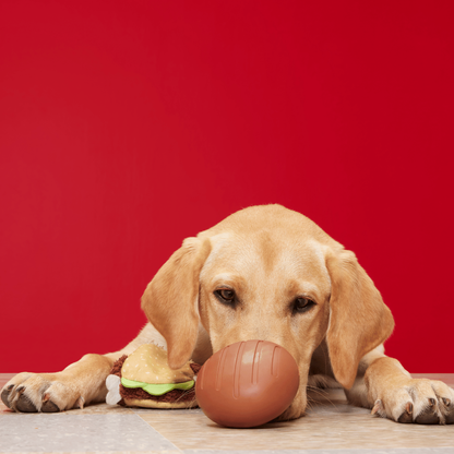 BARK Turkey Barker Dog Toy