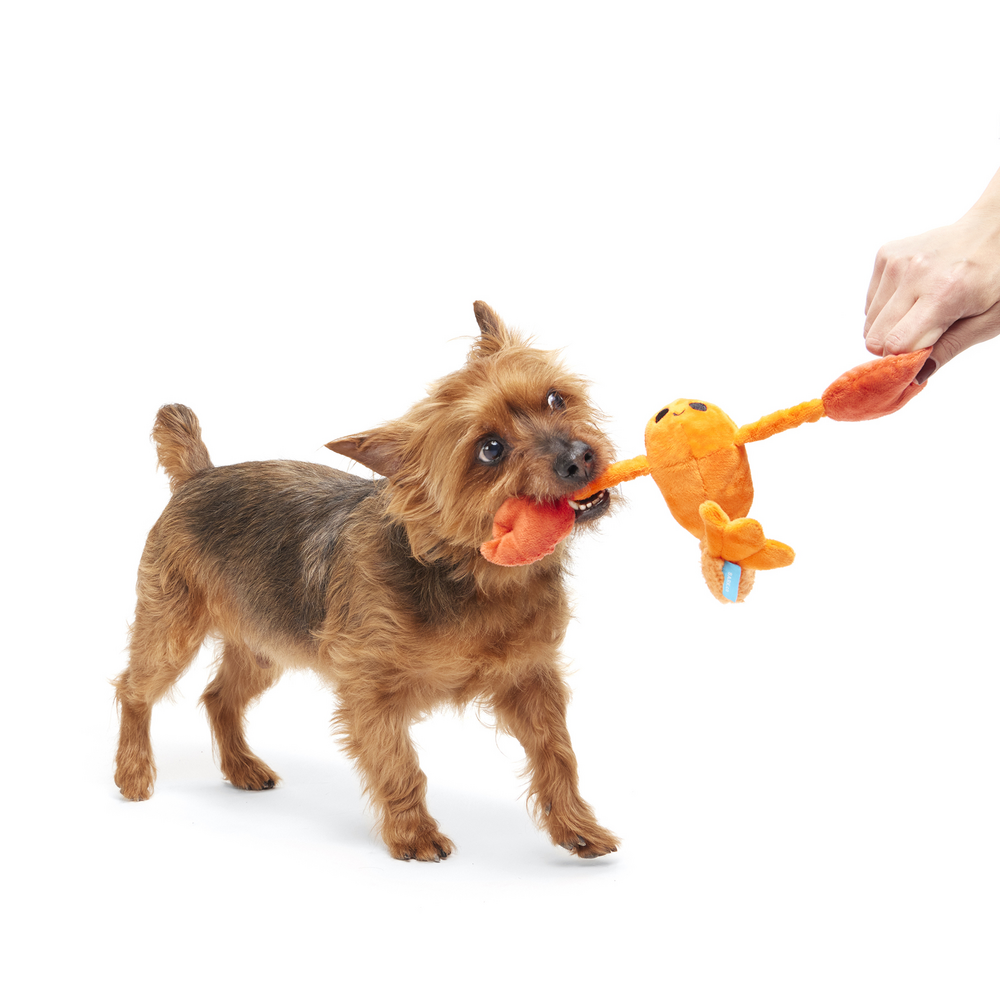 BARK Della Crawfish Dog Toy
