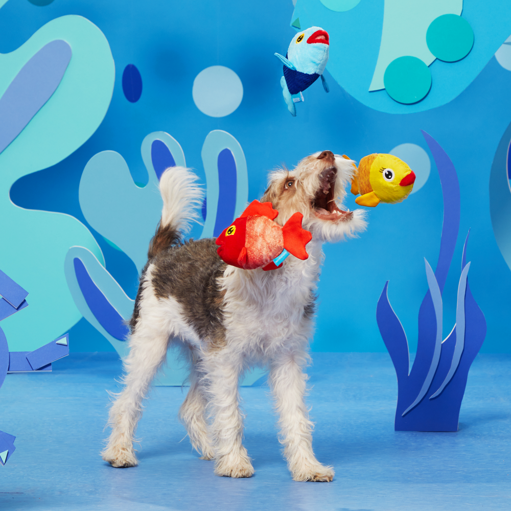 BARK The Groupers Dog Toy
