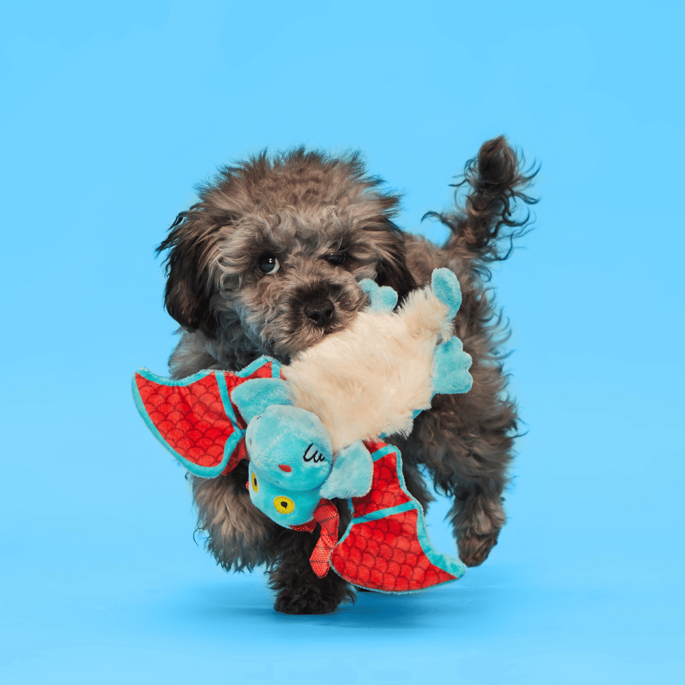 BARK Grimbold The Dragon Dog Toy