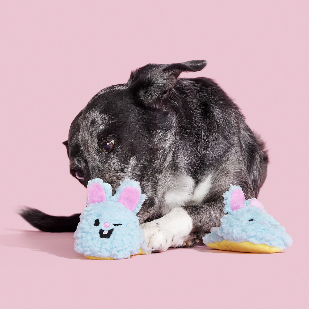 BARK Yippy & Skippy Slippies Dog Toy