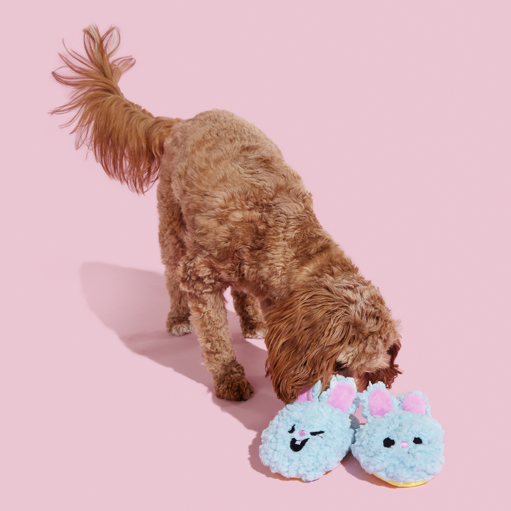 BARK Yippy & Skippy Slippies Dog Toy