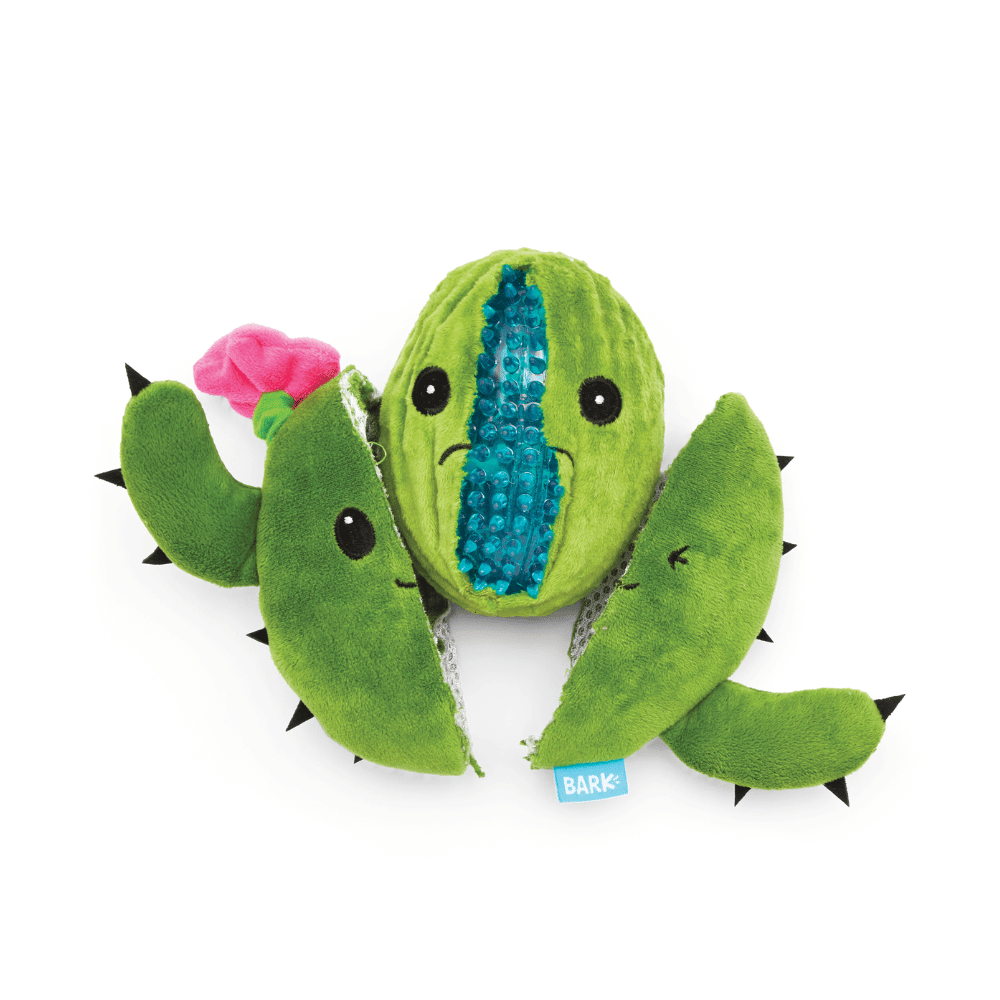 BARK Consuela The Cactus Dog Toy