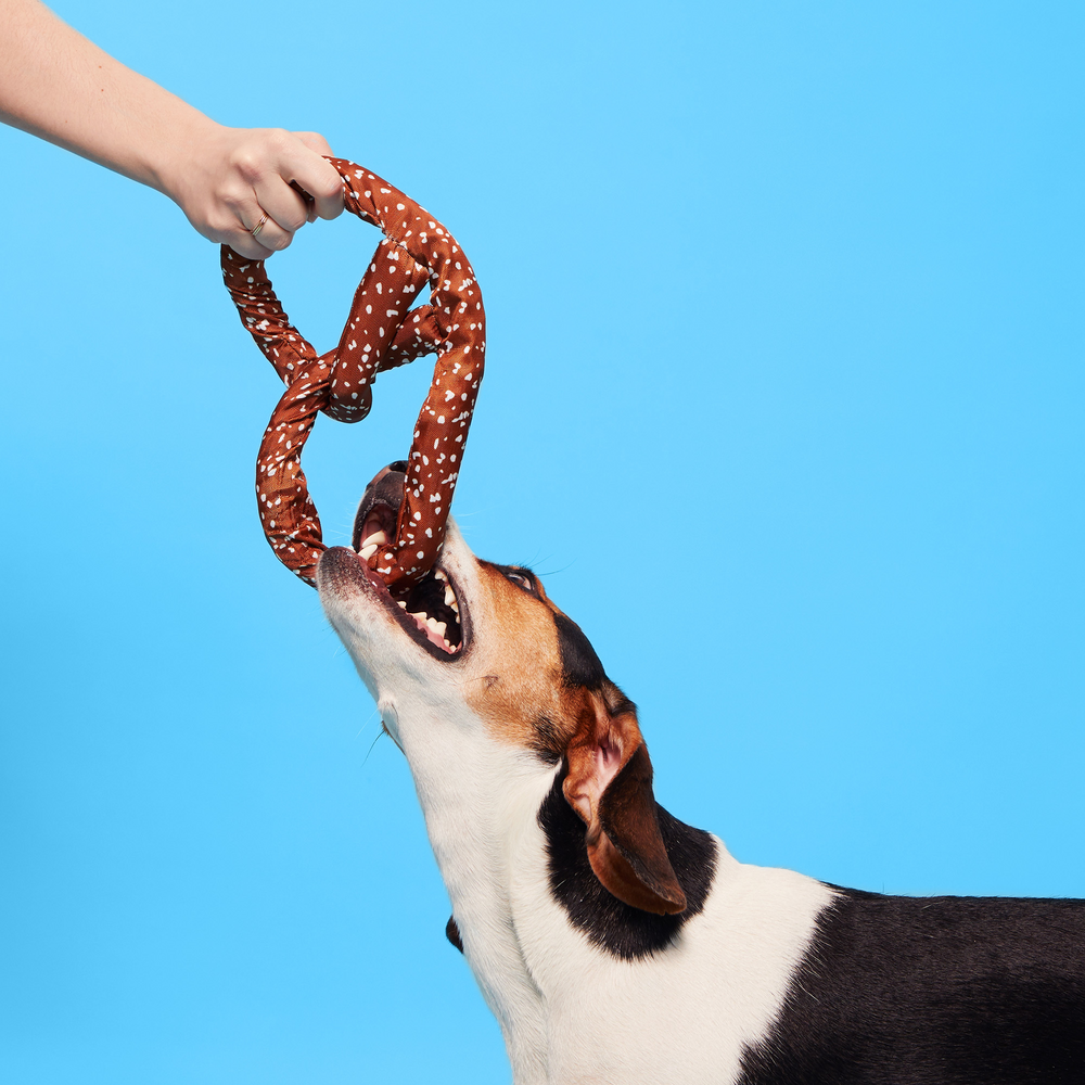BARK Paula's Park Slope Pretzel Dog Toy
