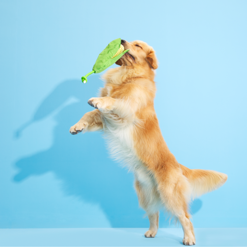 BARK Corn on The Slob Dog Toy