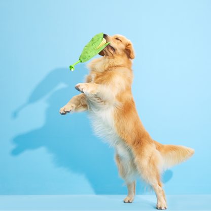 BARK Corn on The Slob Dog Toy