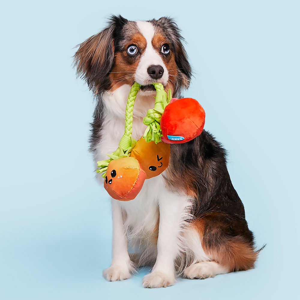 BARK Hairloom Tomatoes Dog Toy