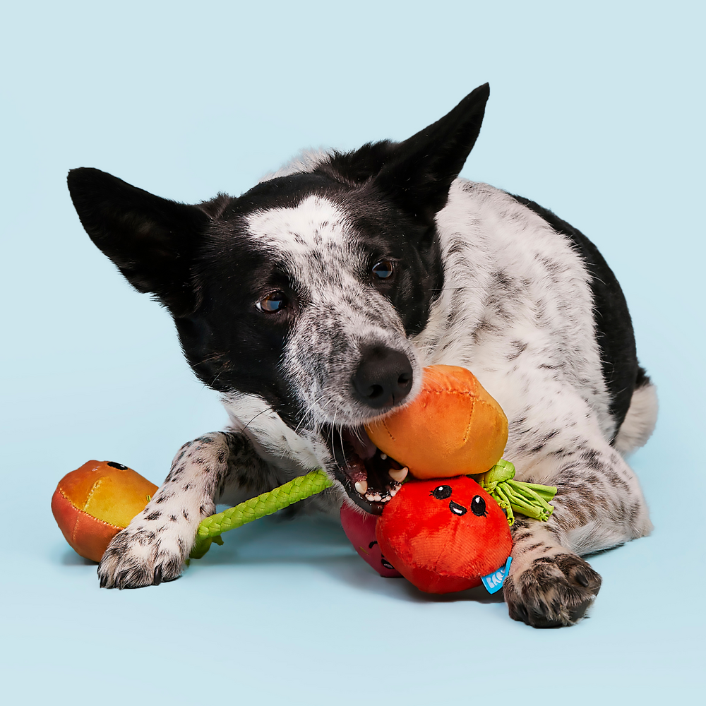 BARK Hairloom Tomatoes Dog Toy