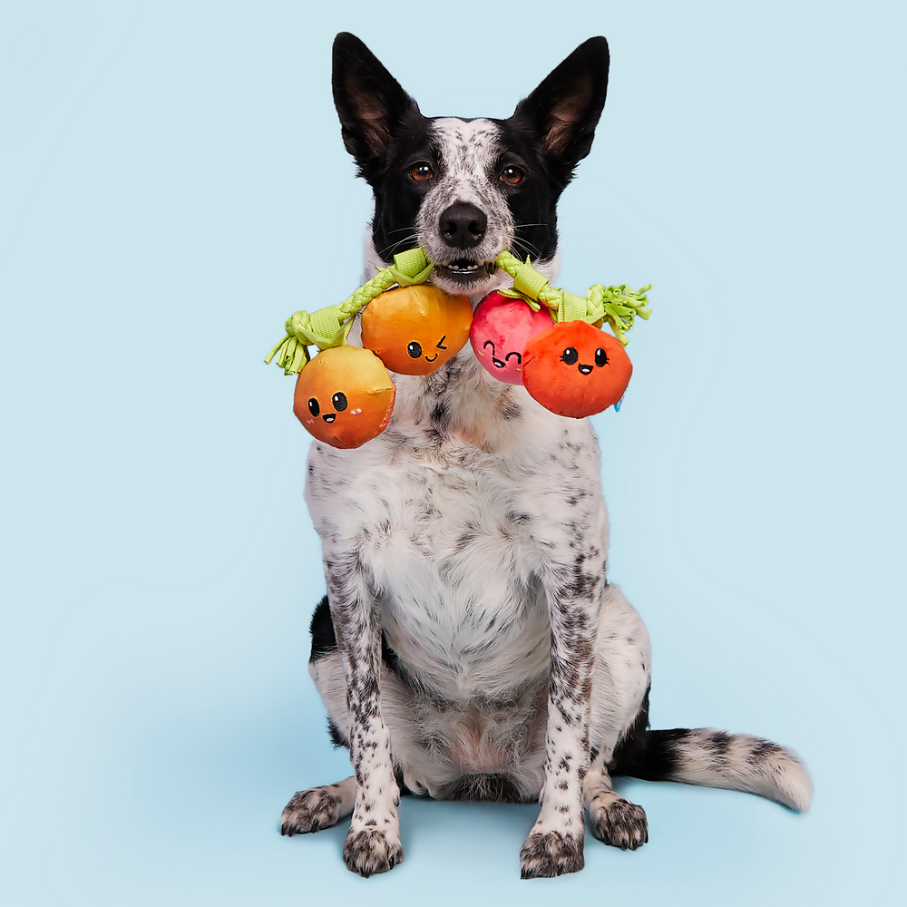 BARK Hairloom Tomatoes Dog Toy