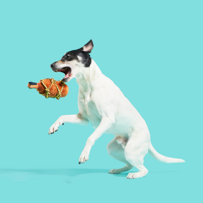 BARK Beard's Rum Dog Toy