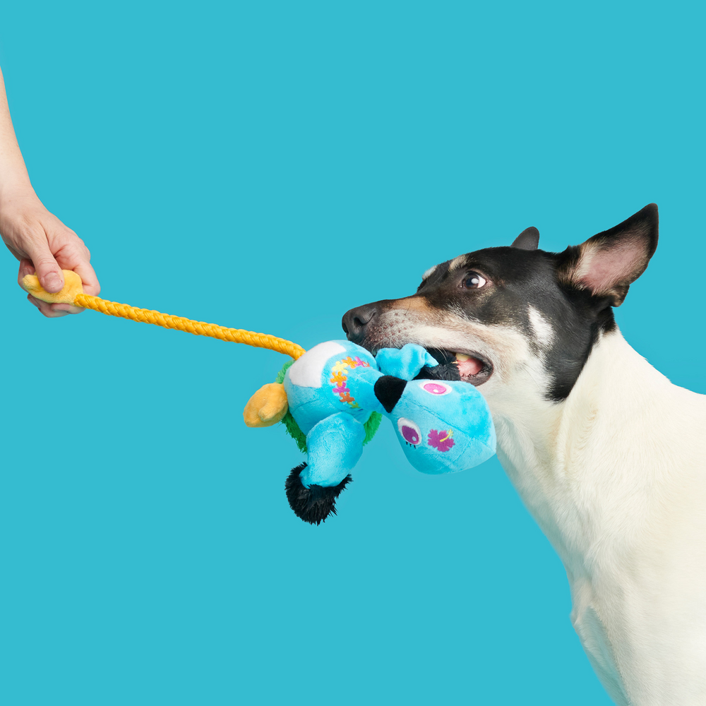 BARK Ani The Nene Goose Dog Toy