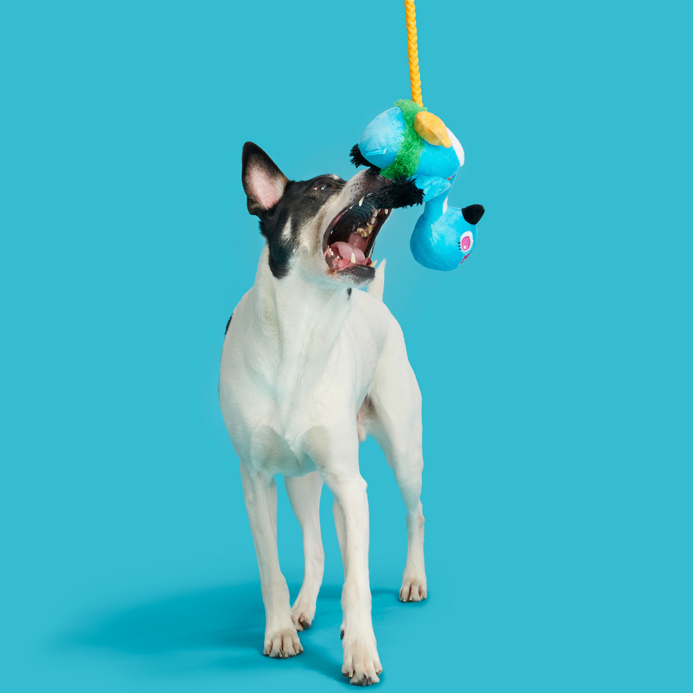 BARK Ani The Nene Goose Dog Toy