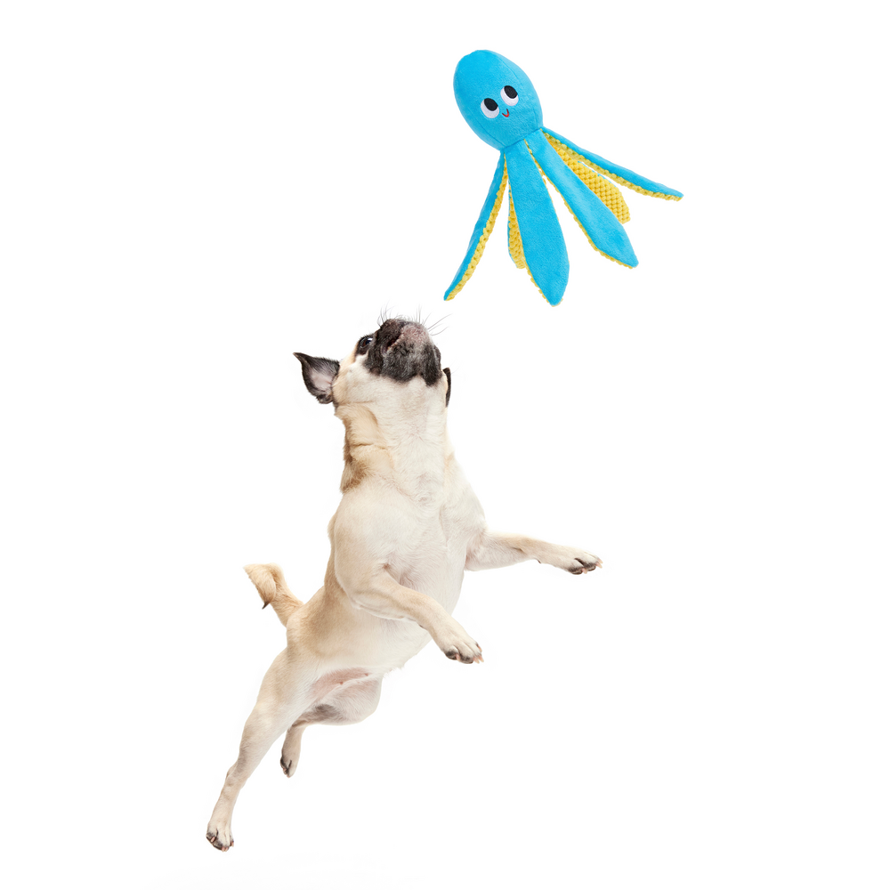 BARK Odd Otto Dog Toy