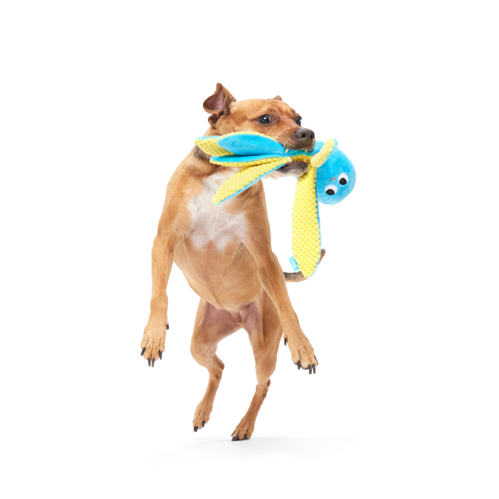 BARK Odd Otto Dog Toy