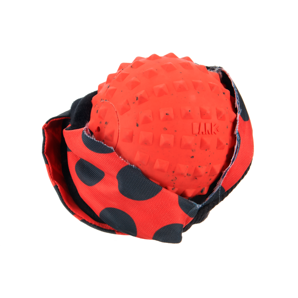 BARK Lady Bugsy Dog Toy