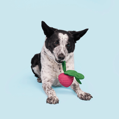 BARK Turnt Up Turnip Dog Toy