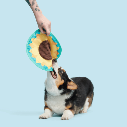 BARK Sunflower Flinger Dog Toy
