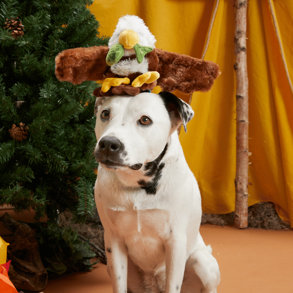 BARK Majestic Marty Dog Toy