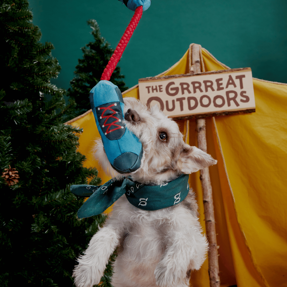 BARK Appalachian Tail Boots Dog Toy