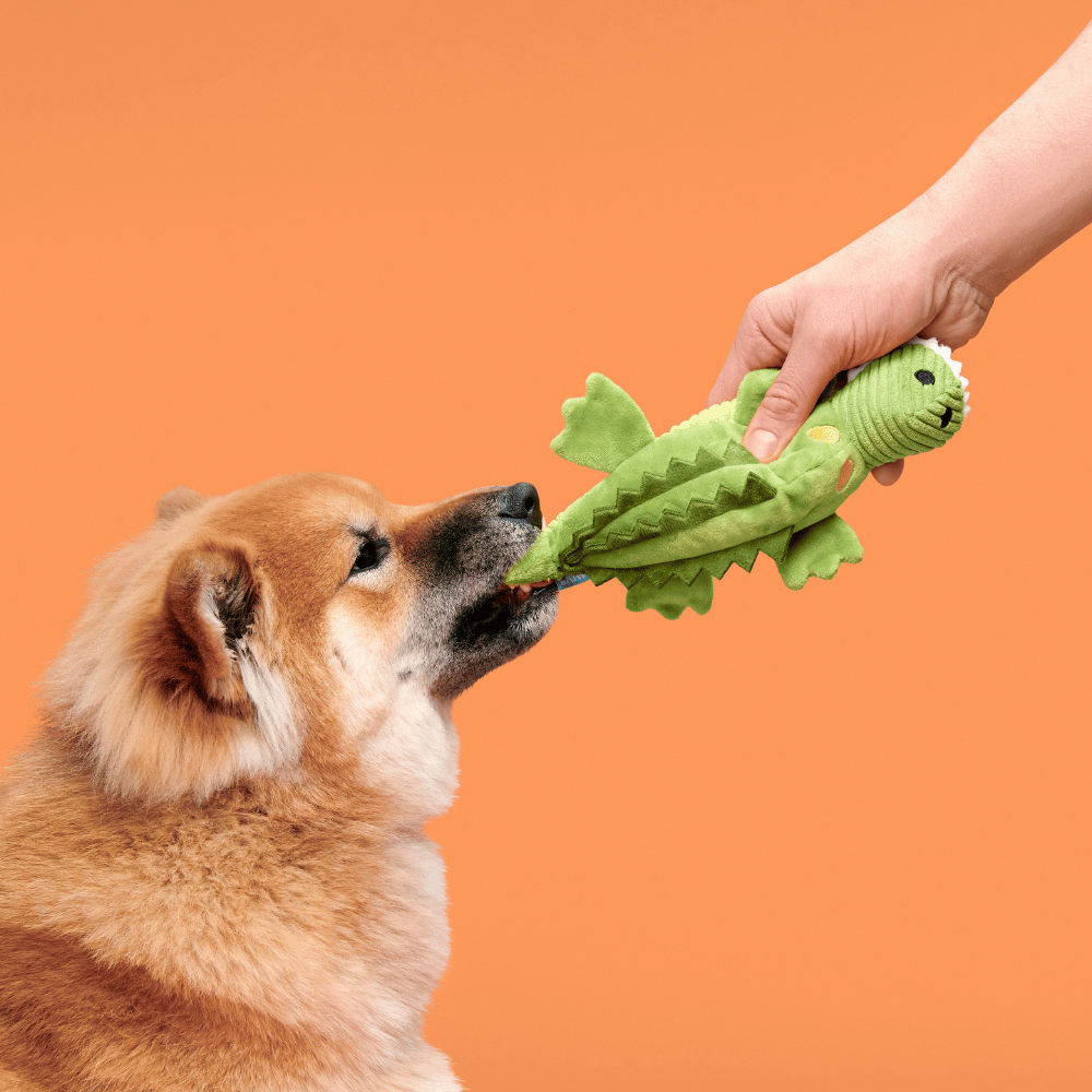BARK Karri Crocodile Dog Toy