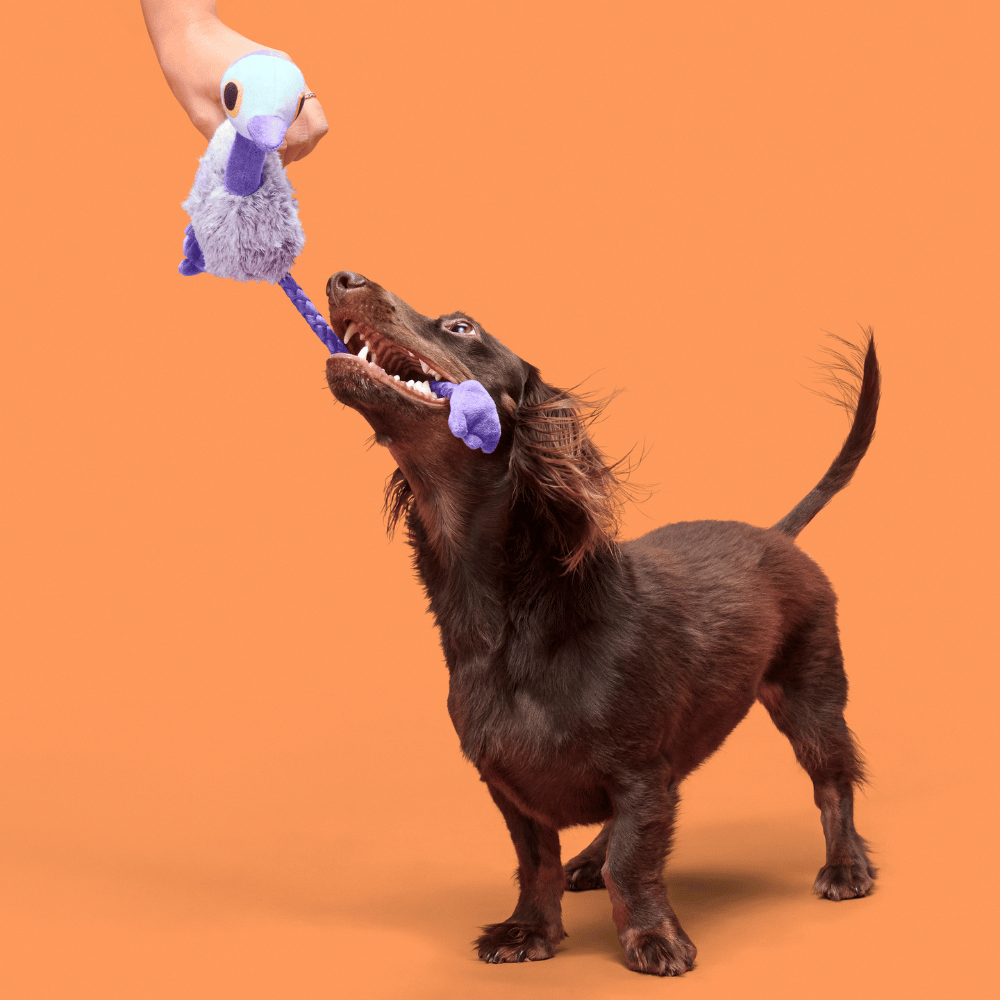 BARK Adelaide Emu Dog Toy