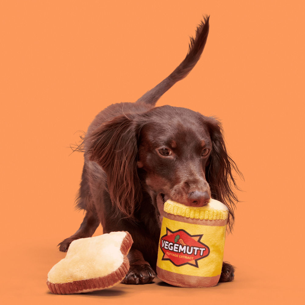 BARK Vegemutt Toast Dog Toy
