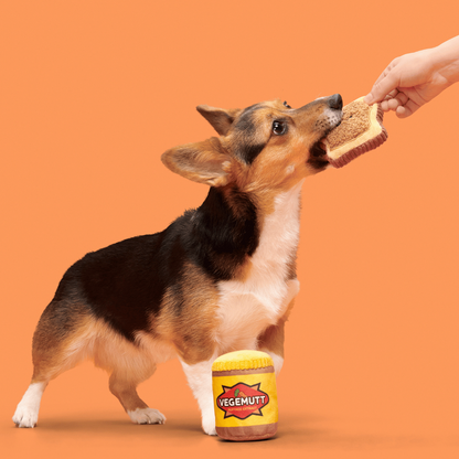 BARK Vegemutt Toast Dog Toy