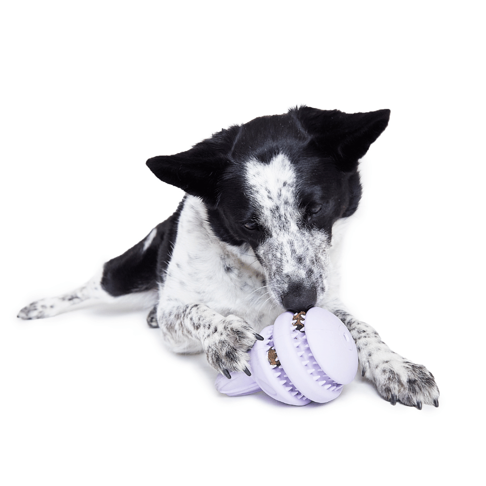 BARK Hippie Hopper Dog Toy