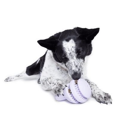 BARK Hippie Hopper Dog Toy