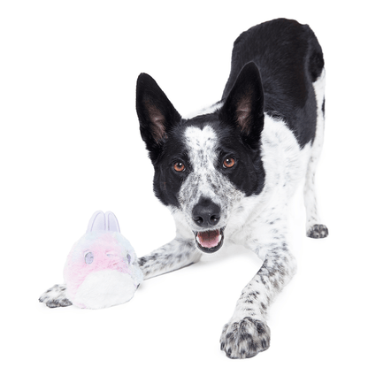 BARK Hippie Hopper Dog Toy