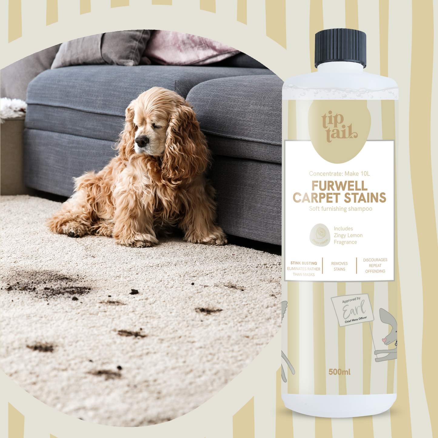 Tip Tail Furwell Carpet Stains for Dogs
