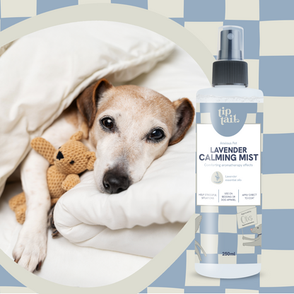 Tip Tail Lavender Calming Mist for Dogs