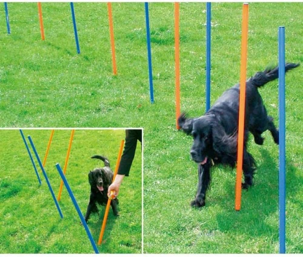 Agility Slalom Poles Dog Activity Training Toy - Pack of 5