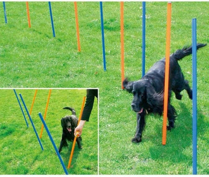 Agility Slalom Poles Dog Activity Training Toy - Pack of 5