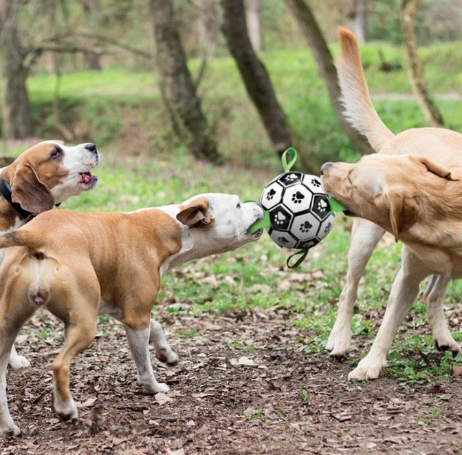 M-Pets Soccer Ball Dog Toy