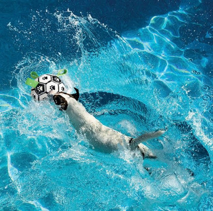 M-Pets Soccer Ball Dog Toy