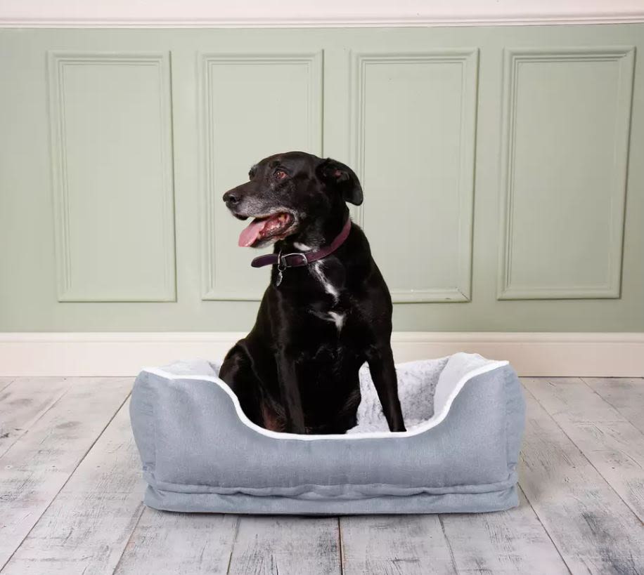 Dream Paws Pet Sofa Bed - Small
