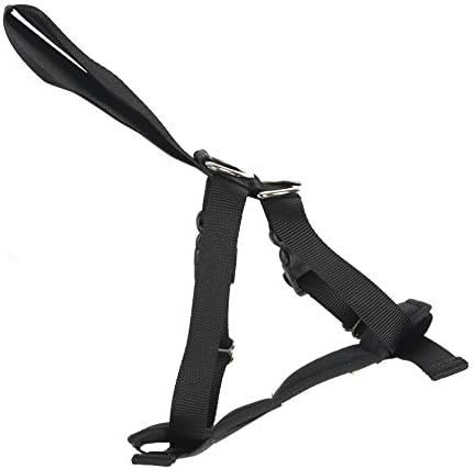 Front View of Rac 2 in 1 Car Dog Harness - Jumbo