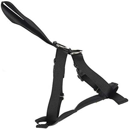 Front View of Rac 2 in 1 Car Dog Harness - Jumbo