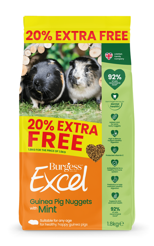 Front View of Burgess Excel Guinea Pig Nuggets with Mint