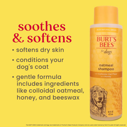 Burt's Bees Oatmeal Dog Shampoo