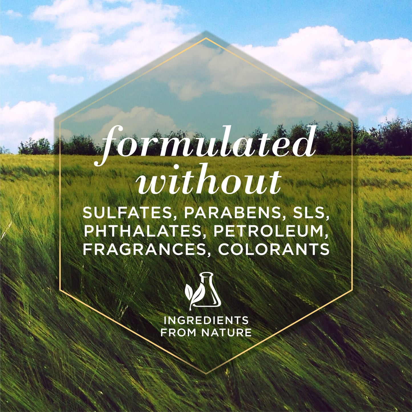 Burts Bees Multipurpose Dog Wipes with Honey