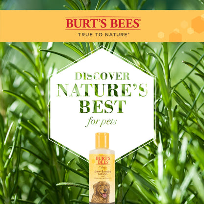 Burt's Bees Paw & Nose Dog Lotion